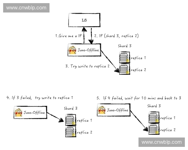 体育内容管理系统在赛事运营与数据分析中的应用探索与实践